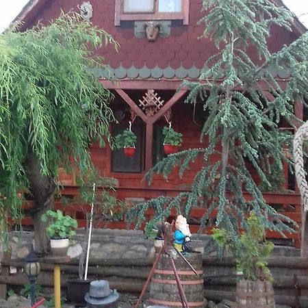 BabadagCasa Vladut公寓 外观 照片