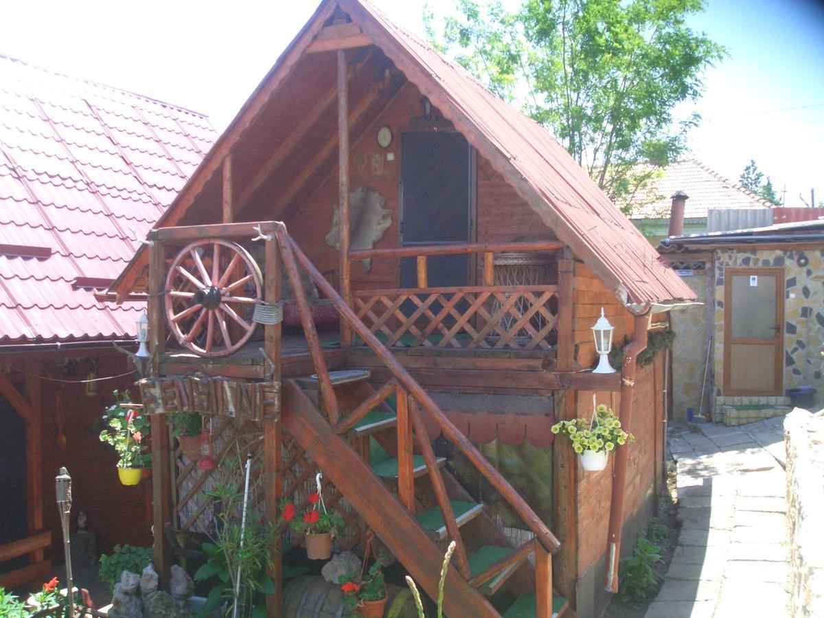 BabadagCasa Vladut公寓 外观 照片